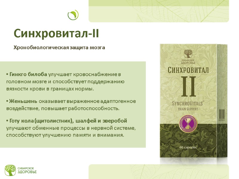 Синхровитал-II Хронобиологическая защита мозга  Гинкго билоба улучшает кровоснабжение в головном мозге и способствует